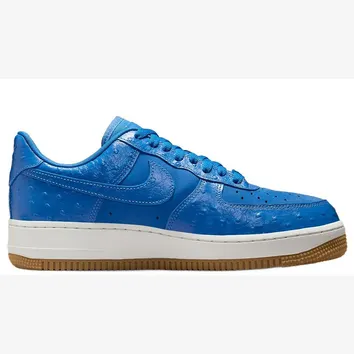 Кросівки Чоловічі Nike Air Force 1 '07 LX Blue Ostrich DZ2708-400