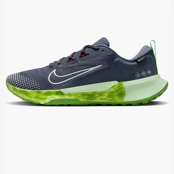 Кросівки Nike Juniper Trail 2 GORE-TEX Thunder Blue/Vapour Green/Chlorophyll/Light Armoury Blue FB2067-403