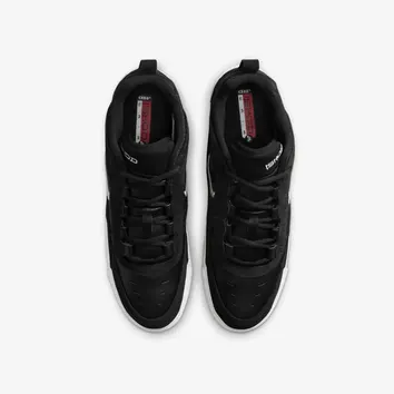 Кросівки Чоловічі Nike SB Air Max Ishod Wair FB2393-004