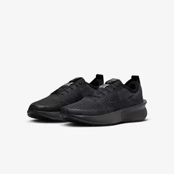 Кросівки Чоловічі Nike Interact Run FD2291-005