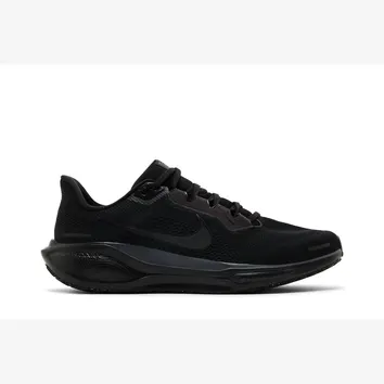 Кросівки Чоловічі Nike Air Zoom Pegasus 41 Black FD2722-001