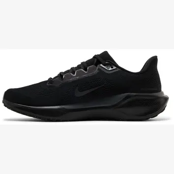 Кросівки Чоловічі Nike Air Zoom Pegasus 41 Black FD2722-001