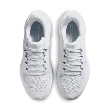 Кросівки Чоловічі Nike Air Zoom Pegasus 41 FD2723-102