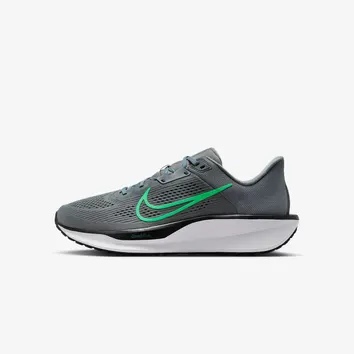 Кроссовки Мужские Nike Quest 6 FD6033-009