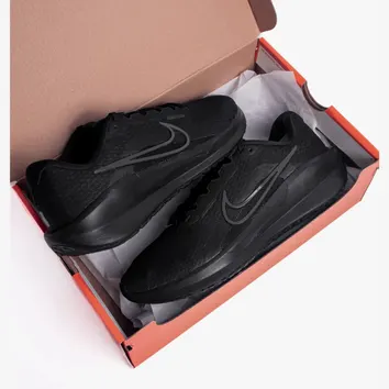 Кросівки Чоловічі Nike Downshifter 13 Black FD6454-003