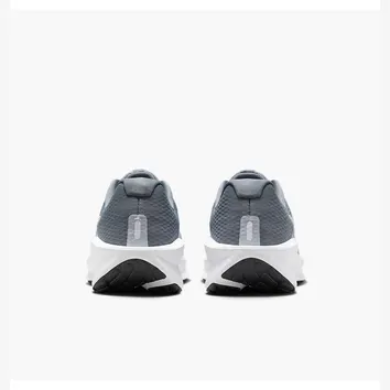 Кросівки Чоловічі Nike Downshifter 13 Grey FD6454-010