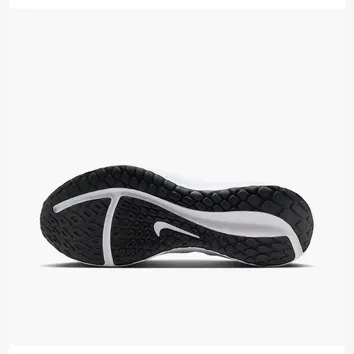 Кросівки Чоловічі Nike Downshifter 13 Grey FD6454-010
