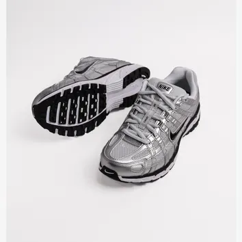 Кросівки Жіночі Nike P-6000 FD9876-101