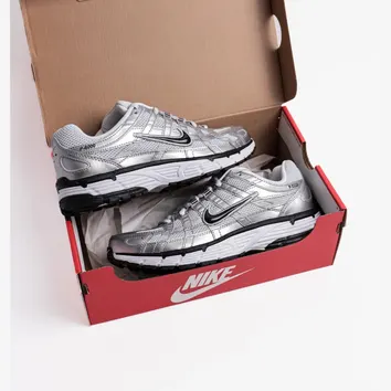 Кросівки Жіночі Nike P-6000 FD9876-101