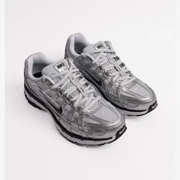 Кросівки Жіночі Nike P-6000 FD9876-101