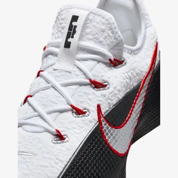 Кросівки Чоловічі Nike LeBron TR 1 FJ6151-101