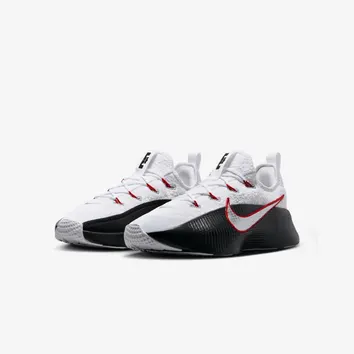 Кросівки Чоловічі Nike LeBron TR 1 FJ6151-101