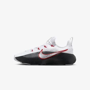 Кросівки Чоловічі Nike LeBron TR 1 FJ6151-101