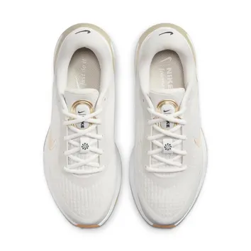 Кросівки Чоловічі Nike Journey Run Phantom/Sail/Gum Light Brown/Neutral Olive FJ7765-003