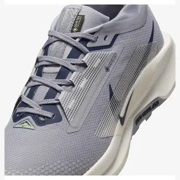 Кросівки Чоловічі Nike Pegasus Trail 5 GORE-TEX Cement Grey/Midnight Navy FQ0908-006