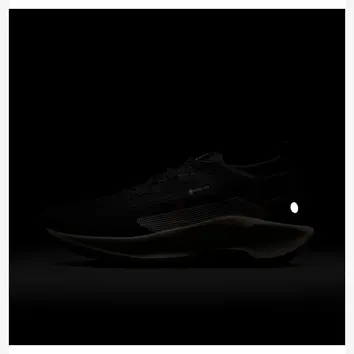 Кросівки Nike Pegasus Trail 5 Gore-Tex Off Noir Black Monarch Pale Ivory FQ0908-007