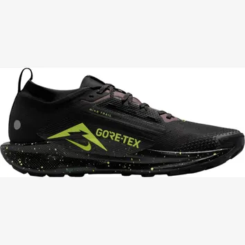 Кроссовки Мужские Nike Pegasus Trail 5 GORE-TEX FQ0908-014