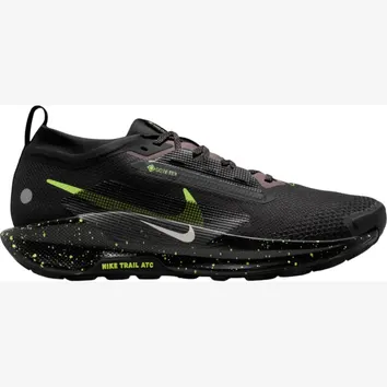 Кроссовки Мужские Nike Pegasus Trail 5 GORE-TEX FQ0908-014