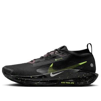 Кроссовки Мужские Nike Pegasus Trail 5 GORE-TEX FQ0908-014
