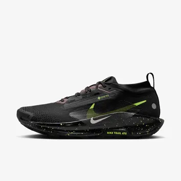 Кроссовки Мужские Nike Pegasus Trail 5 GORE-TEX FQ0908-014