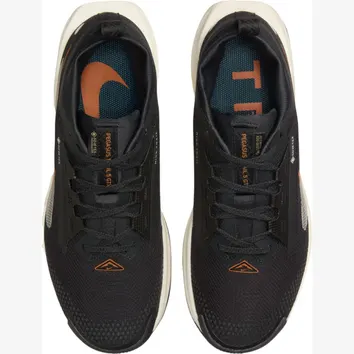 Кросівки Чоловічі Nike Pegasus Trail 5 GORE-TEX Black Monarch FQ0912-005