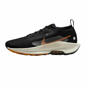 Кросівки Чоловічі Nike Pegasus Trail 5 GORE-TEX Black Monarch FQ0912-005