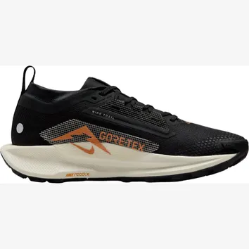 Кросівки Чоловічі Nike Pegasus Trail 5 GORE-TEX Black Monarch FQ0912-005