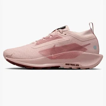 Кросівки Жіночі Nike Pegasus Trail 5 GTX Peach FQ0912-601