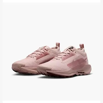 Кросівки Жіночі Nike Pegasus Trail 5 GTX Peach FQ0912-601