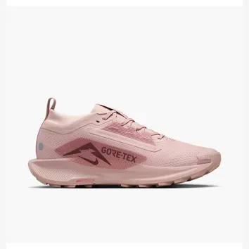 Кросівки Жіночі Nike Pegasus Trail 5 GTX Peach FQ0912-601