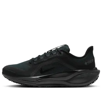 Кросівки Чоловічі Nike Air Zoom Pegasus 41 Gore-Tex Black Anthracite FQ1356-001