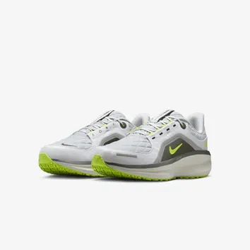 Кроссовки Мужские Nike Winflo 11 Gore-Tex FQ1358-005
