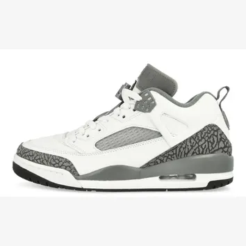 Кросівки Air Jordan Spizike Low Cool Grey/White FQ1759-102