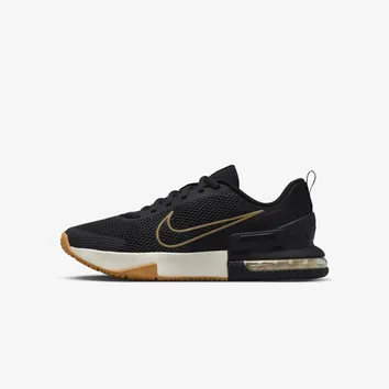 Кросівки Чоловічі Nike Air Max Alpha Trainer 6 FQ1833-012
