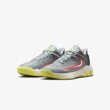 Кросівки Чоловічі Nike Giannis Immortality 4 FQ3680-009