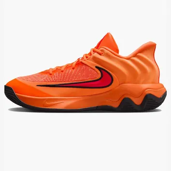 Кросівки Чоловічі Nike Giannis Immortality 4 FQ3680-800