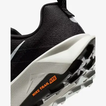 Кросівки Чоловічі Nike Wildhorse 10 ReactX FV2338-001