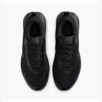 Кросівки Чоловічі Nike Promina Black FV5285-001
