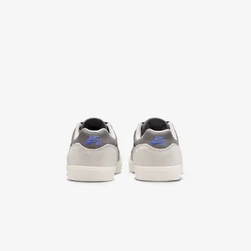 Кросівки Чоловічі Nike SB Malor FV6064-011