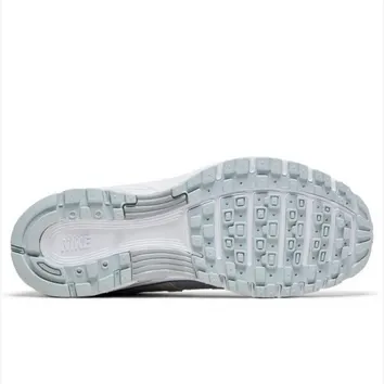 Кросівки Жіночі WMNS NIKE P-6000 FV6603-101