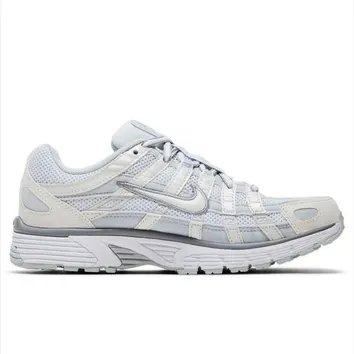 Кросівки Жіночі WMNS NIKE P-6000 FV6603-101