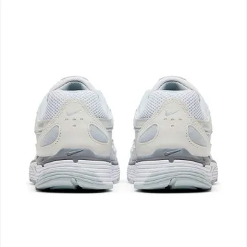 Кросівки Жіночі WMNS NIKE P-6000 FV6603-101