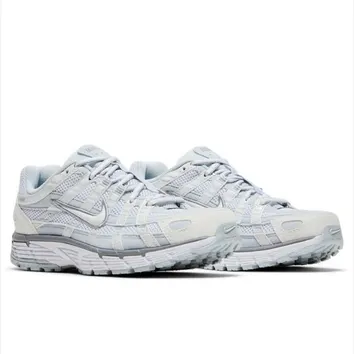 Кросівки Жіночі WMNS NIKE P-6000 FV6603-101