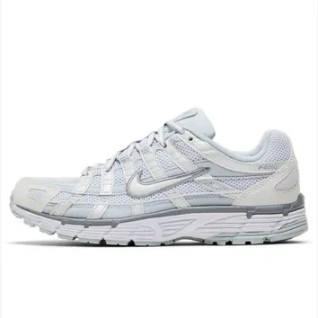 Кросівки Жіночі WMNS NIKE P-6000 FV6603-101