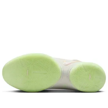 Кросівки Чоловічі Nike LeBron 22 Dunkman FZ1094-002