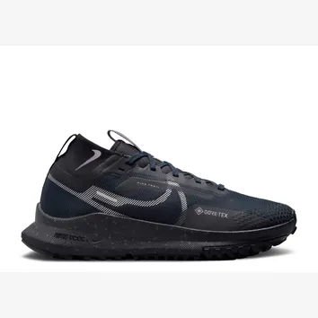 Кросівки Чоловічі Nike Pegasus Trail 4 GORE-TEX Dark Obsidian/Metallic Silver FZ4343-400