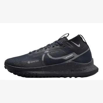 Кросівки Чоловічі Nike Pegasus Trail 4 GORE-TEX Dark Obsidian/Metallic Silver FZ4343-400