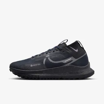 Кросівки Чоловічі Nike Pegasus Trail 4 GORE-TEX Dark Obsidian/Metallic Silver FZ4343-400