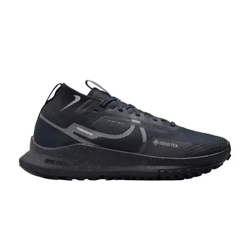 Кросівки Чоловічі Nike Pegasus Trail 4 GORE-TEX Dark Obsidian/Metallic Silver FZ4343-400