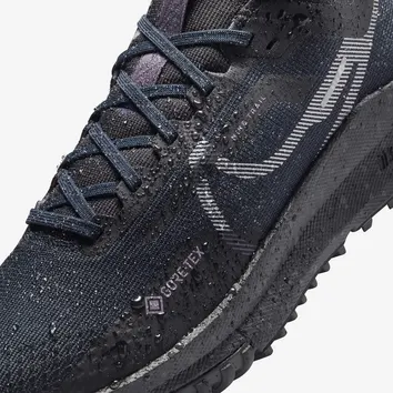 Кросівки Чоловічі Nike Pegasus Trail 4 GORE-TEX Dark Obsidian/Metallic Silver FZ4343-400